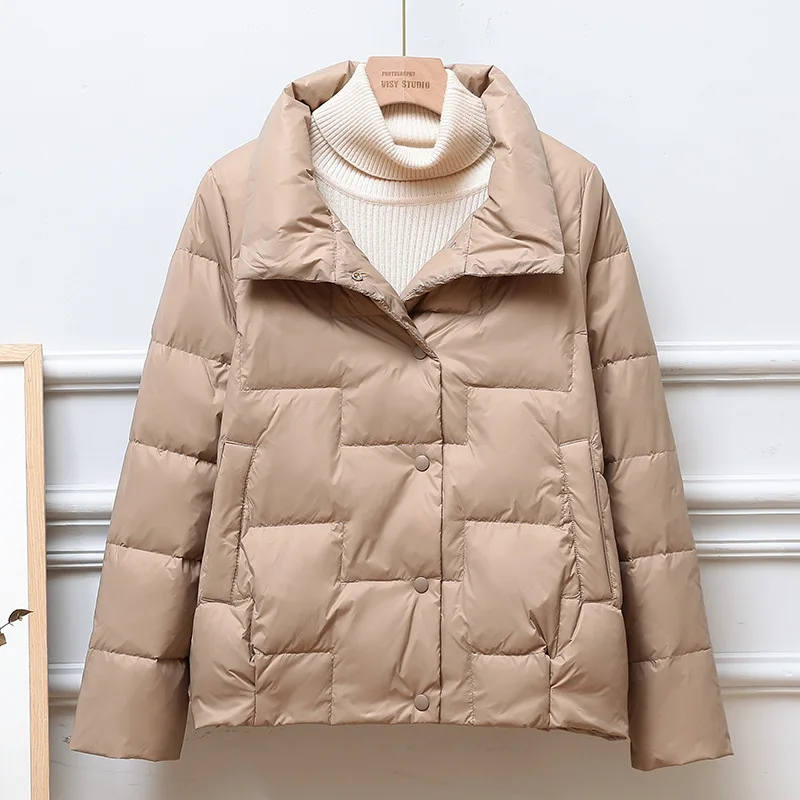 Lightweight Stand Neck Solid Color Jacket Woman Winter 2023 Demi-season Parka Spring Quilted Demi-season Thin Down In Outerwear