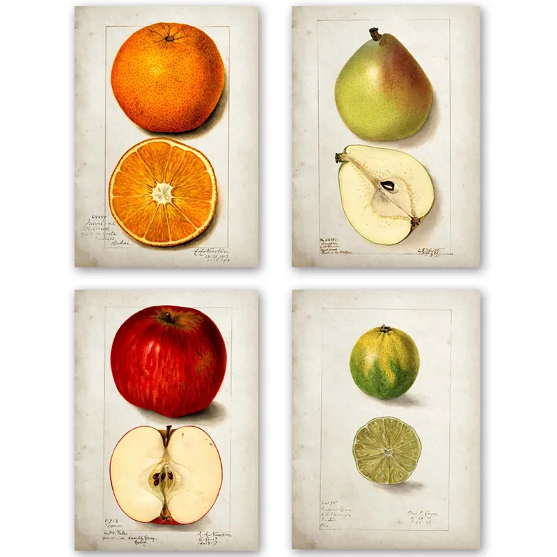 

Poster Home Decor Stickers 5PCS/Set Retro Fruit Hanging Paintings Kitchen Wall Apple Orange Pineapple Decorative Painting