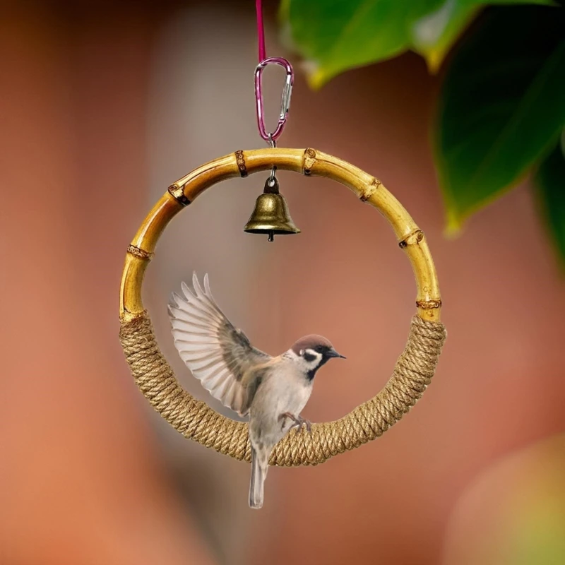 Скребки для шлифовки птичьего окуня подставка моляров попугаев игрушка Conure B03D