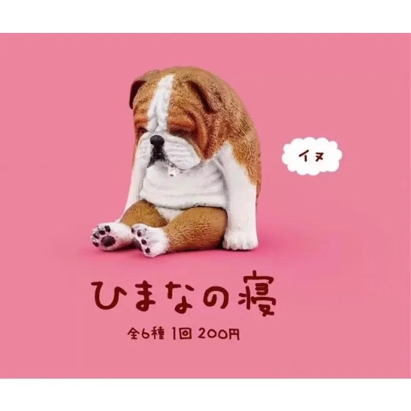 Zoo Series Gashapon Toys Собака Медведь Кошка Слон Ежик Горилла Креативная Модель Украшения