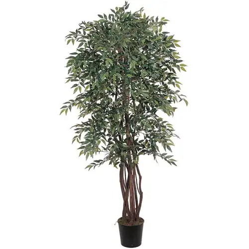 

' Smilax Silk Tree