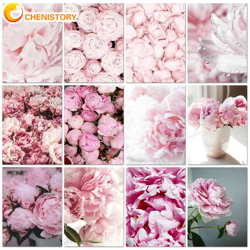 

CHENISTORY 30x40cm DIY OilPainting By Numbers Pink Flower Paint By Numbers Kit For Home Decor Pictures By Numbers On Canvas