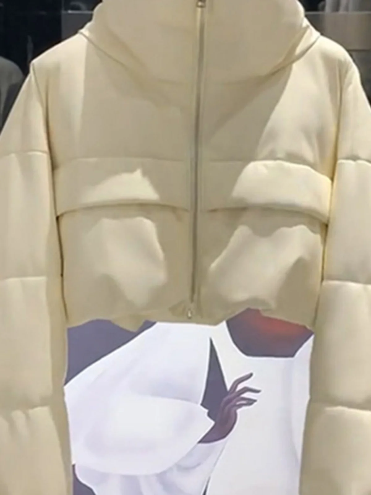 Зимние женские парки новинка 2024 пальто с воротником-стойкой и длинными рукавами