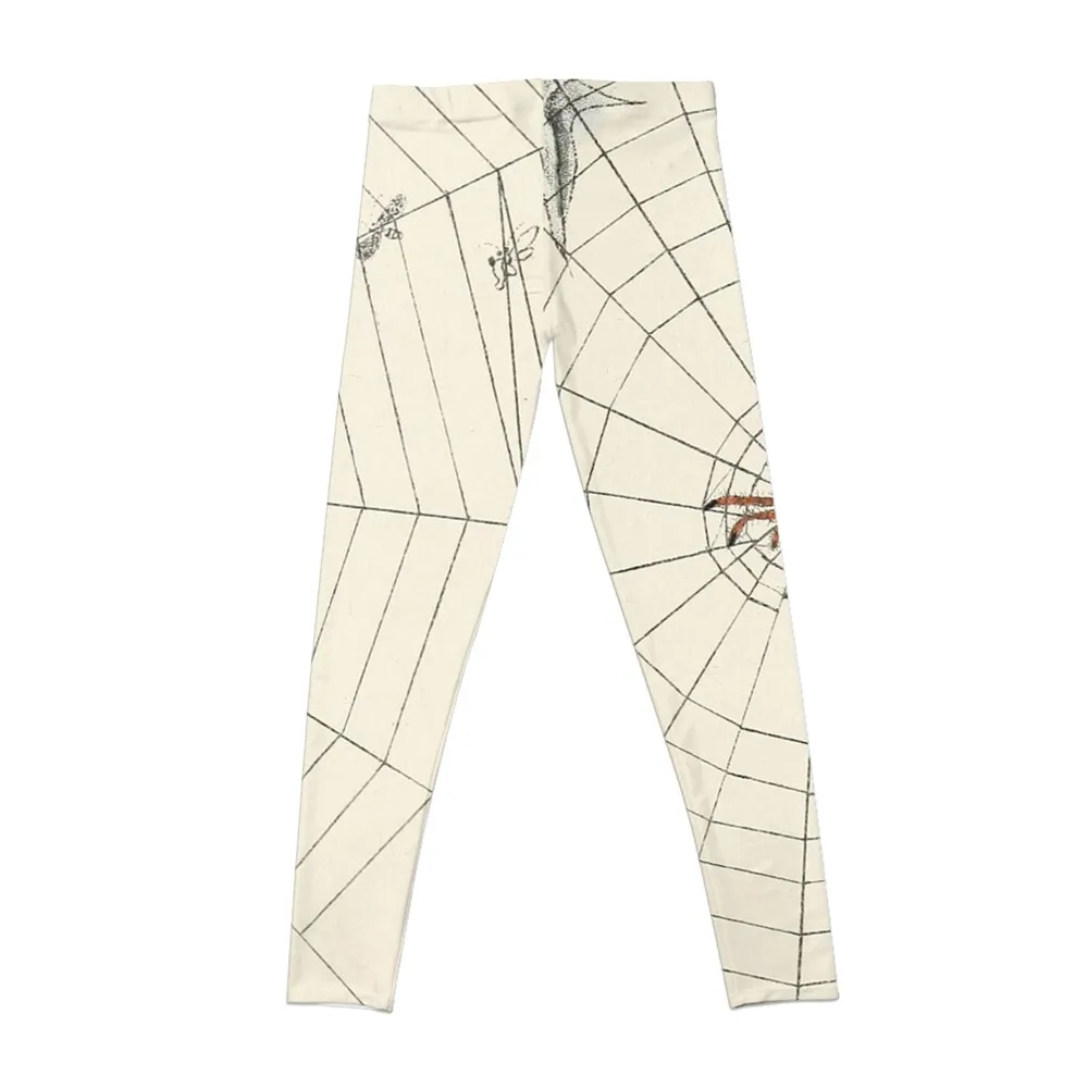 Винтажный садовый паук с веб-илюстрацией (1891) Леггинсы спортивная одежда для