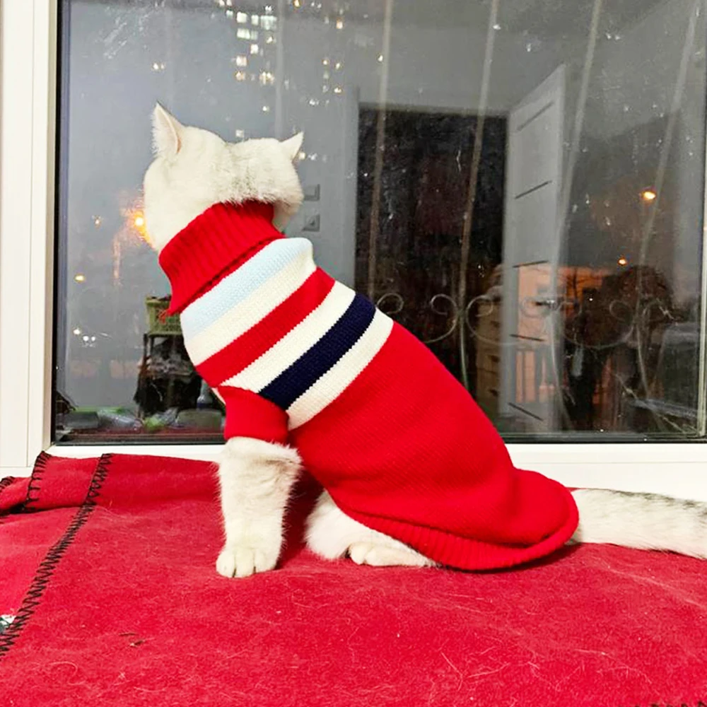 

Nice Warm Comfortable Winter Cloth For Small Puppies Spring Winter Outdoor Wearing Pet Sweater Fashion Light Weight Pet Sweaters