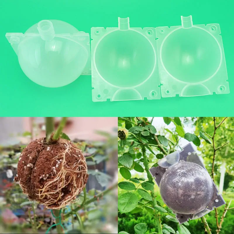 

5cm Plant Rooting Ball Grafting Rooting Case fruit tree flower branch Growing Box Breeding Container Nursery grow Root pots t