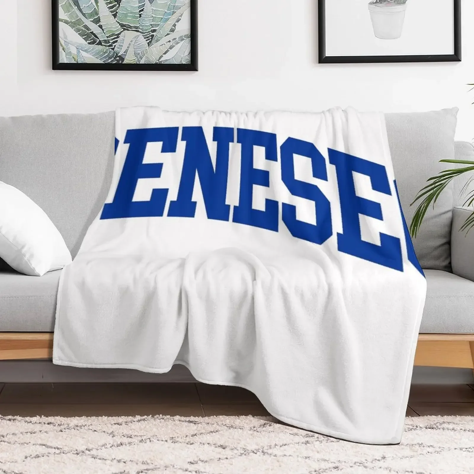 Geneseo-college изогнутое одеяло винтажные покрывала для кровати одеяла