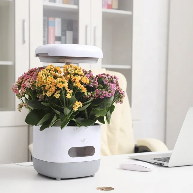 Гидропонные системы для домашнего сада с лампочками выращивания растений