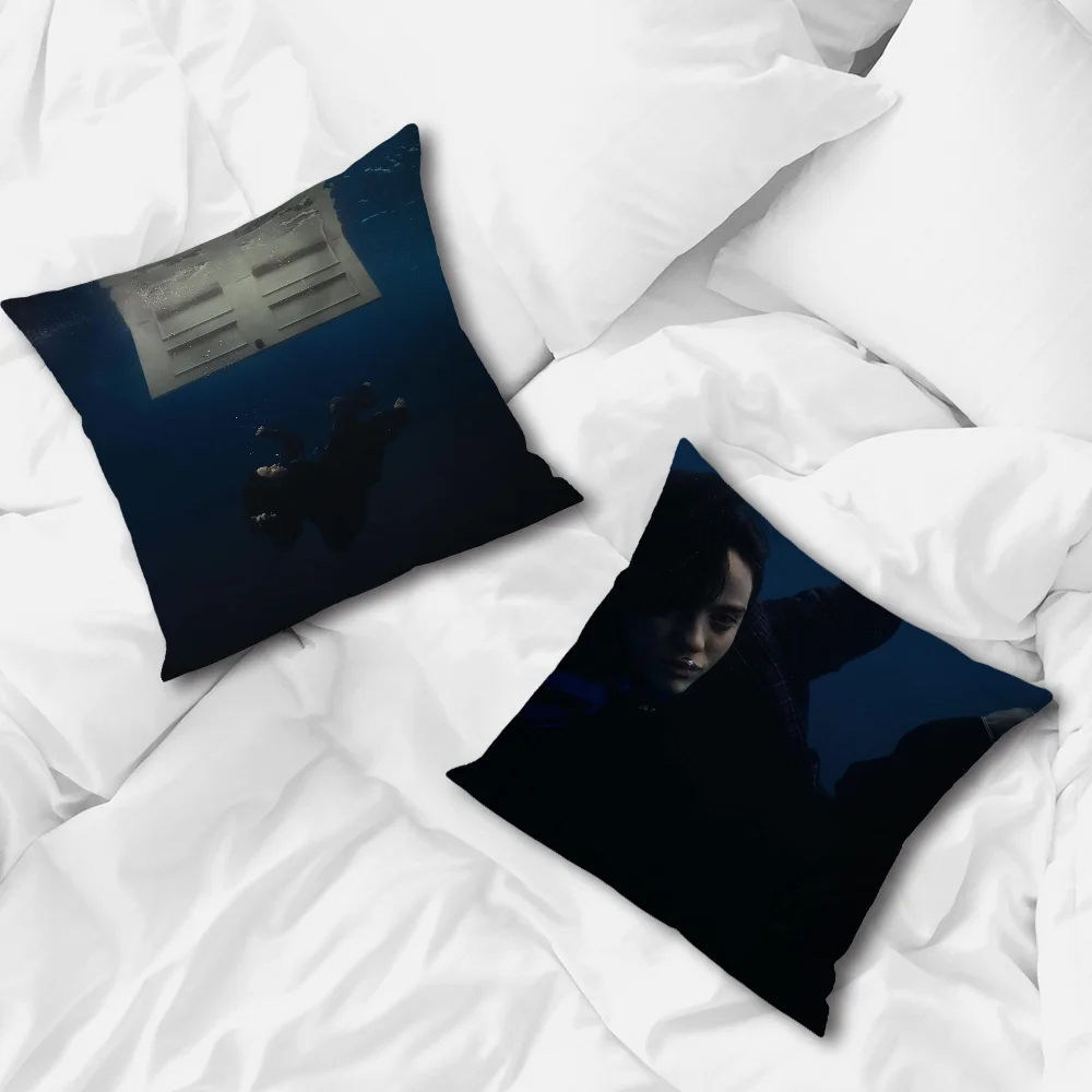 Наволочка Singer E-Eilish для дивана спальни гостиной офиса прикроватная тумбочка B-BillieS