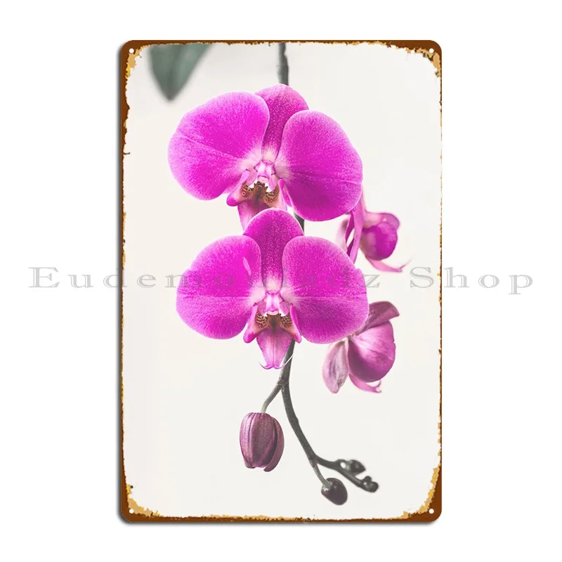 

Phalaenopsis Orchid Flowe Metal Sign Plaques Rusty Cave Character Wall Cave Cinema Tin Sign Poster