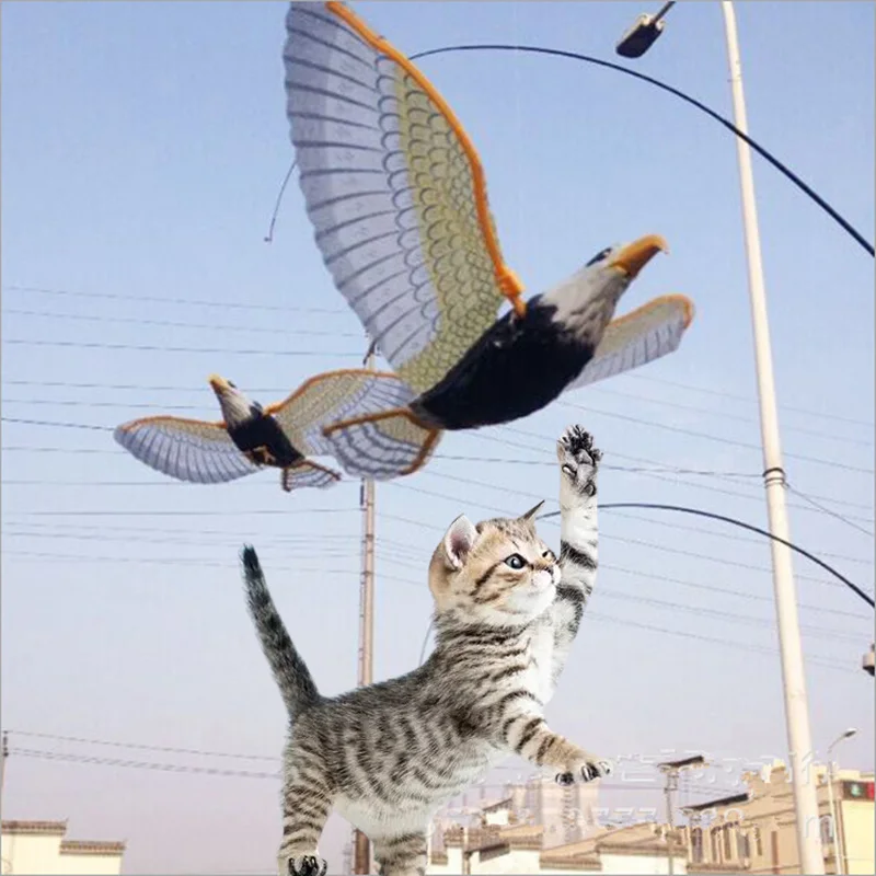 

Simulation Bird Cat Toy Interactive Pet Supplies Electric Hanging Eagle Parrot Squeak Toy Luminous Tease Kitten Gatos Accesorios
