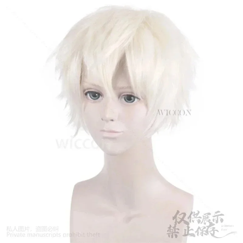 Фото A;3\v,7'd/Аниме BNA BRAND NEW ANIMAL OGAMI SHIROU Синтетические прямые короткие парики для косплея для мужчин и женщин Высокое качество;5'b\8/ №5
