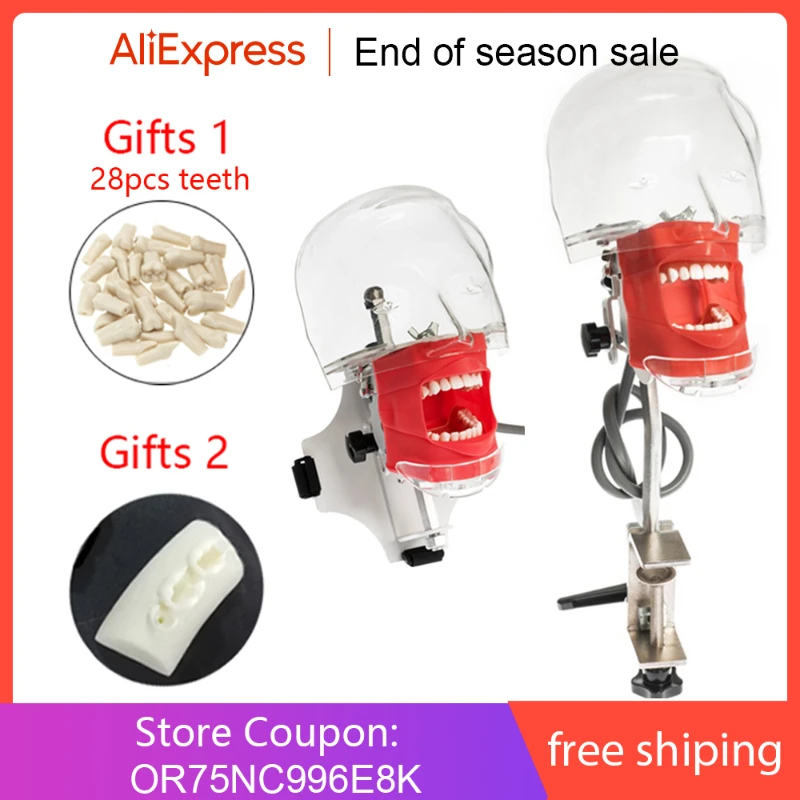 Π‘ΡΠΎΠΌΠ°ΡΠΎΠ»ΠΎΠ³ΠΈΡΠ΅ΡΠΊΠ°Ρ Π»Π°ΠΌΠΏΠ° Ρ Π·ΡΠ±Π°ΠΌΠΈ Π΄Π»Ρ ΠΎΠ±ΡΡΠ΅Π½ΠΈΡ ΡΡΠΎΠΌΠ°ΡΠΎΠ»ΠΎΠ³ΠΈΠΈ, ΠΌΠΎΠ΄Π΅Π»Ρ ΡΡΠΎΠΌΠ°ΡΠΎΠ»ΠΎΠ³Π°, ΡΡΠΎΠΌΠ°ΡΠΎΠ»ΠΎΠ³ΠΈΡΠ΅ΡΠΊΠΈΠΉ ΡΠΈΠΌΡΠ»ΡΡΠΎΡ Π‘ΡΠΎΠΌΠ°ΡΠΎΠ»ΠΎΠ³ΠΈΡΠ΅ΡΠΊΠ°Ρ Π»Π°ΠΌΠΏΠ° Ρ Π·ΡΠ±Π°ΠΌΠΈ Π΄Π»Ρ ΠΎΠ±ΡΡΠ΅Π½ΠΈΡ ΡΡΠΎΠΌΠ°ΡΠΎΠ»ΠΎΠ³ΠΈΠΈ, ΠΌΠΎΠ΄Π΅Π»Ρ ΡΡΠΎΠΌΠ°ΡΠΎΠ»ΠΎΠ³Π°, ΡΡΠΎΠΌΠ°ΡΠΎΠ»ΠΎΠ³ΠΈΡΠ΅ΡΠΊΠΈΠΉ ΡΠΈΠΌΡΠ»ΡΡΠΎΡ