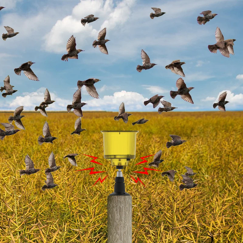 Animal driven device alarms waterproof energy-saving LED solar light yellow red warning device canrecording volume alarmregulaly