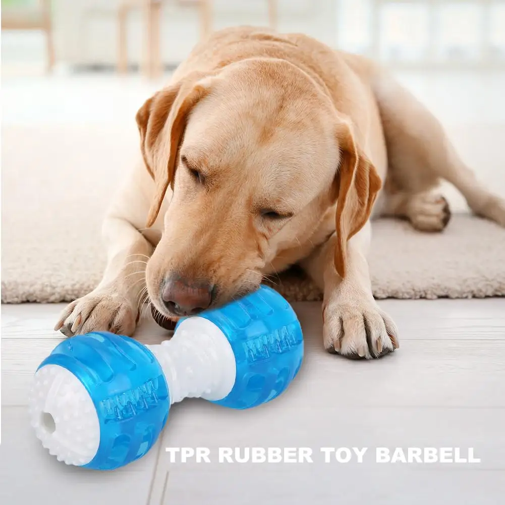 

Funny Barbell Shape Pet TPR Rubber Squeak Toy Dog Bite Molar Cleaning Tooth Toys It Is Soft Lovely Pleasant and Complete