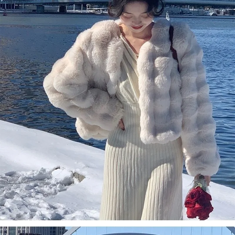New Winter Coat for Women Faux Fur Coat New Korean Fashion Eco-friendly Fur Jackets Loose Short Tops Warm