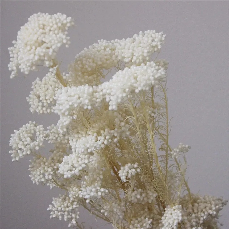 50g Natural Millet Fruit Dried Flower Artificial Flowers For Home Decoration Christmas Decorations For Home 2022 Pampas images - 6