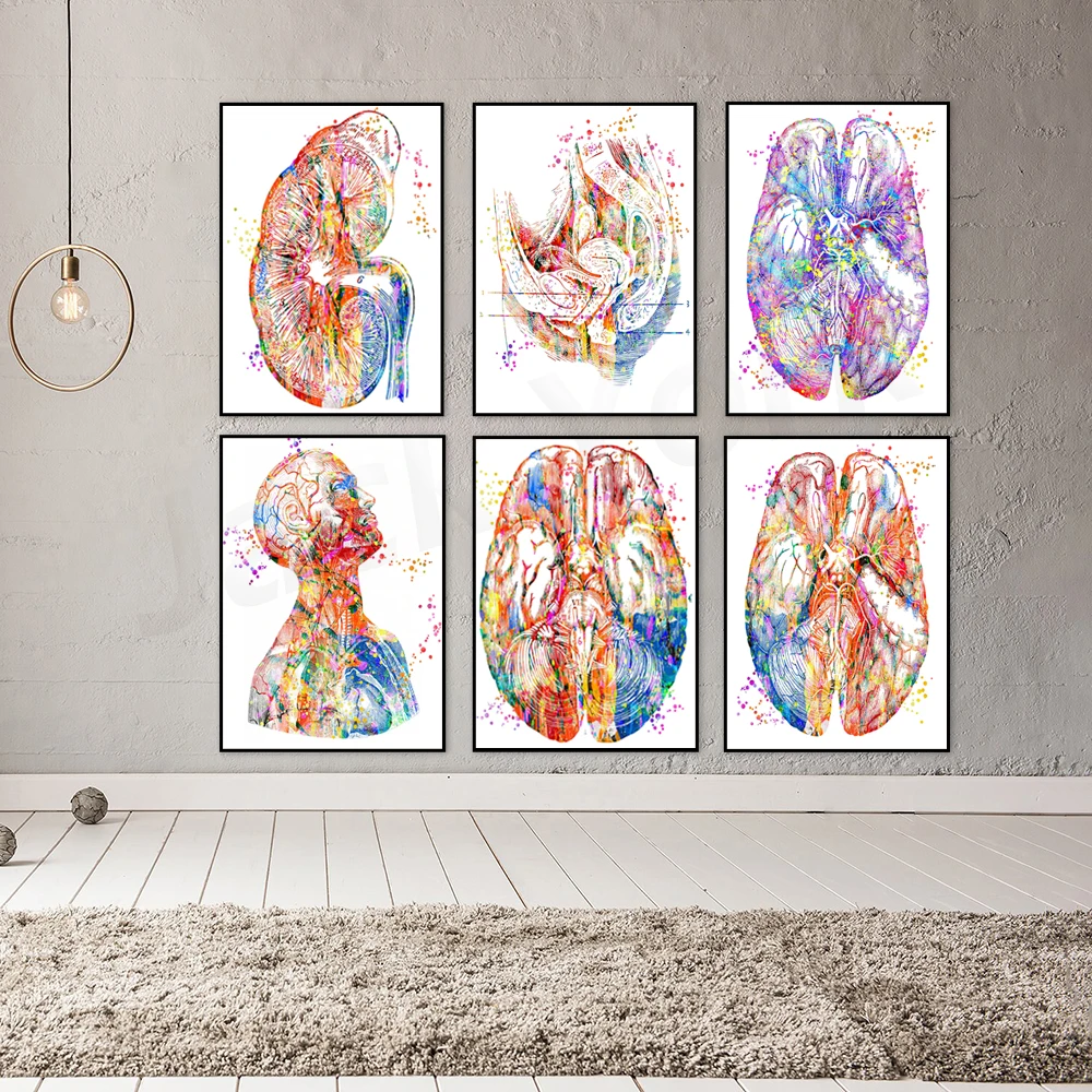

Skull Brain Art, Head Art,Female Art,Pelvis Art,Eye Art Print Abstract Medical Art work Medical Art Prints Gift, Office decor