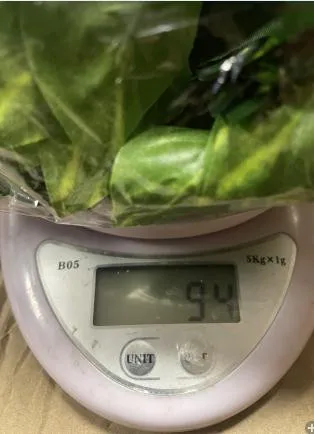 Искусственные искусственные листья листва подвесное украшение интерьера из