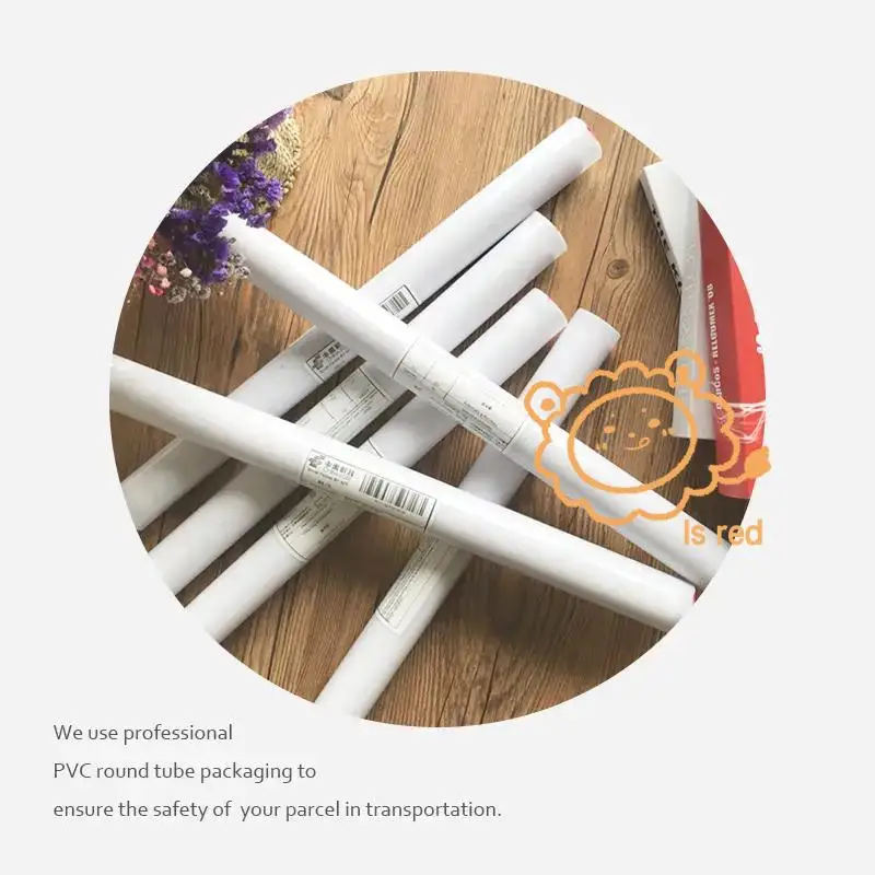 Современный стиль солдатская красная лиса художественный принт на холсте