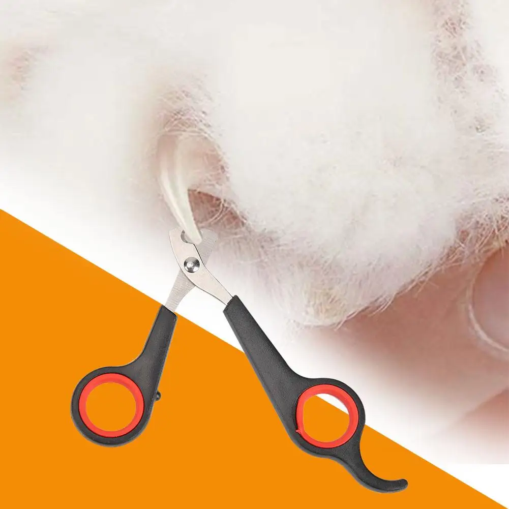 

Pets Nail Toe Clipper Scissors Stainless Steel Stainless Steel Feet Paw Shaver for Dogs Cats Claw Manicure Trimmer