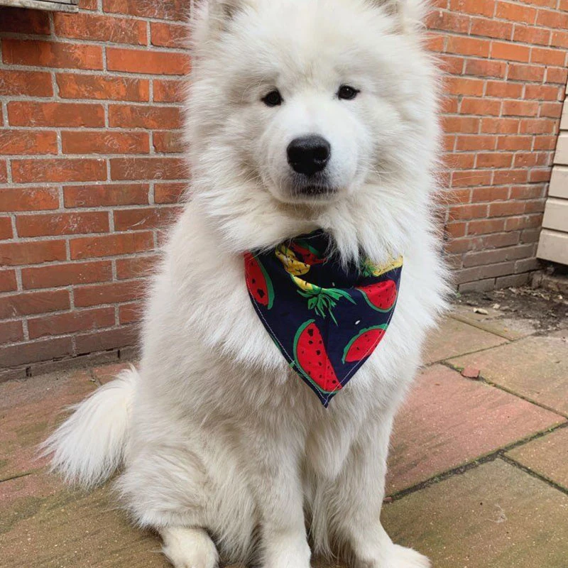 

Pet Dog Bandana Fruit Print Small Dog Cat Scarf Adjustable Cotton Dog Puppy Bandanas Bibs Summer Pet Dog Grooming Accessories