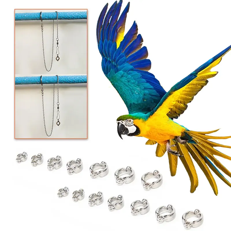 

Training Stand Foot Ring Anklet Bird Chain Buckle Stainless Steel Parrot Tiger Skin Starling Peony Cockatiel Pigeon