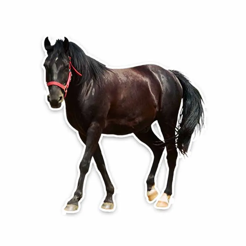 

F356# 13cm/17cm Car Sticker Animal Horse Waterproof Vinyl Decal Car Accessories Pegatinas Para Coche DIY Car Styling
