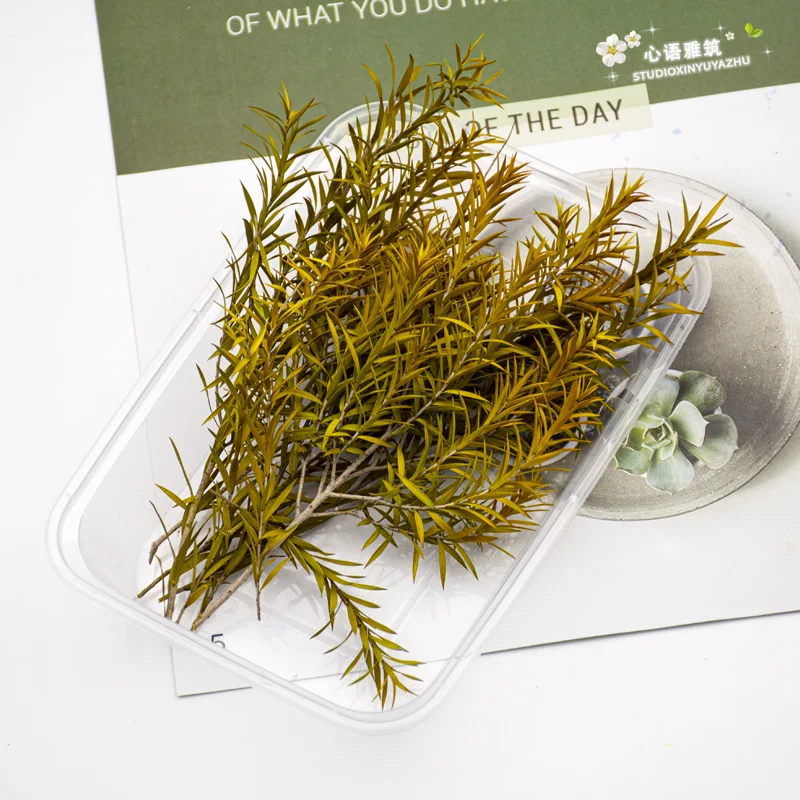 Модель длинной травы в виде листьев