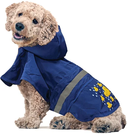 

LOOKINGOOD Ducky Raincoat Royal Blue XS