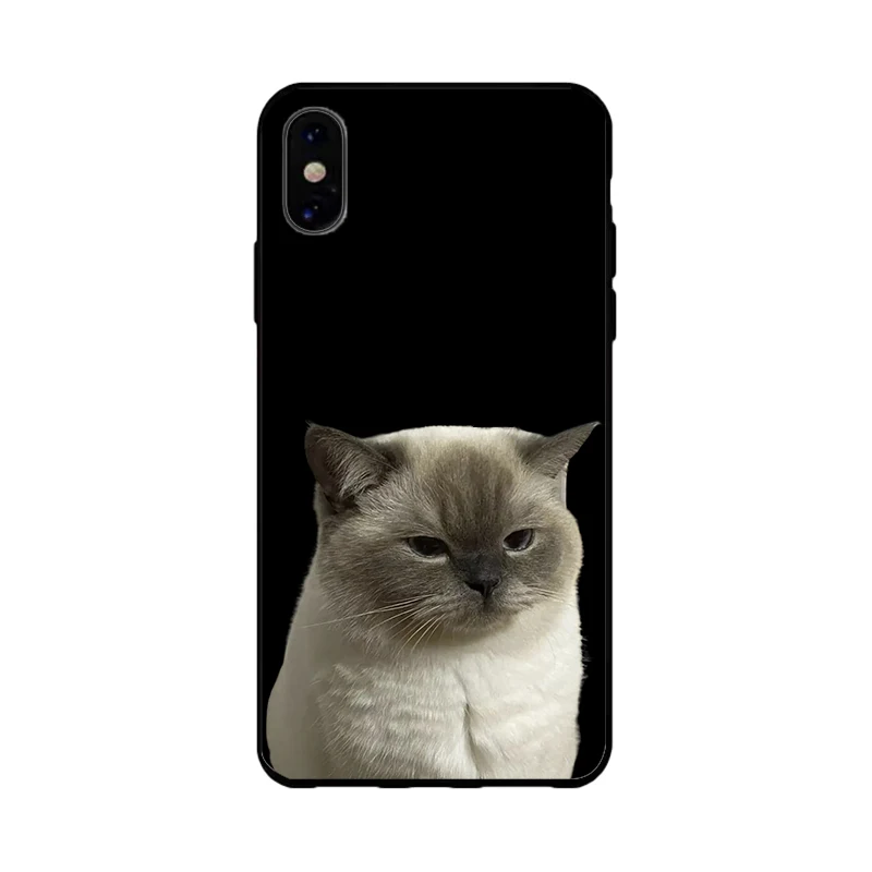 

5390L-2, силиконовые прочные Чехлы для iphone13pro max, тонкий, с милым рисунком кошки, защитный мягкий чехол с рисунком