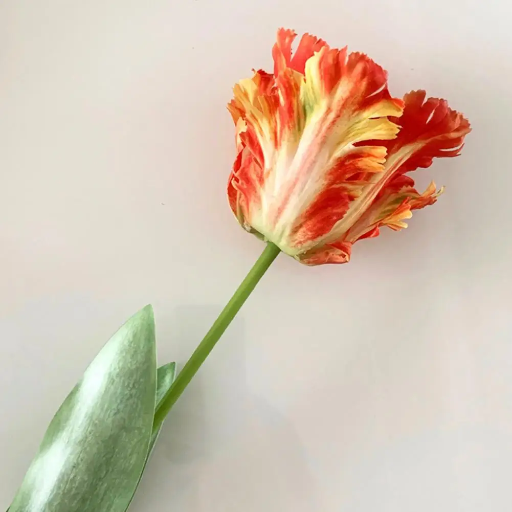 

Decorative Eco-friendly 3D Parrot Tulip Vibrant Simulation Flower for Garden