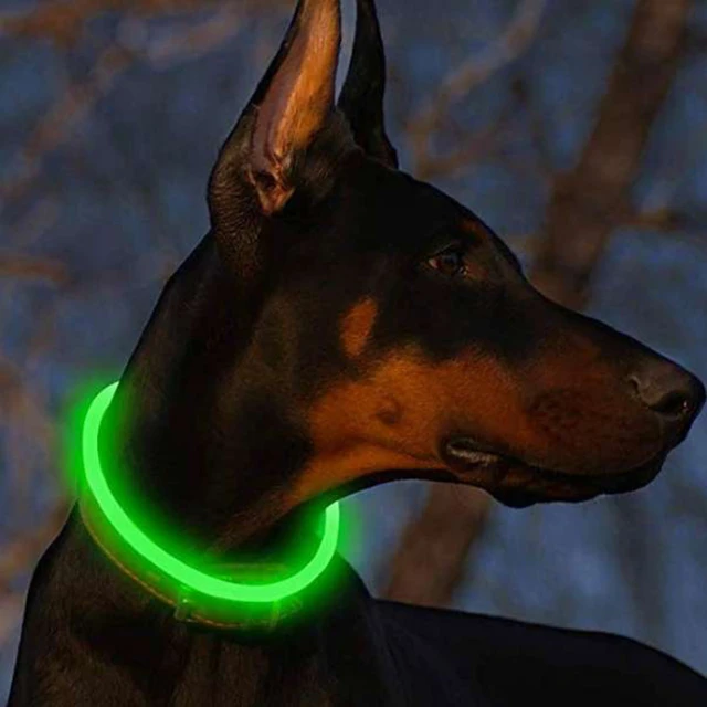 Usb Charge Luminous Dog Collar Led Night Glowing Battery Dog Loss Prevention Puppy Accessories Supplies Articles For Pets 6