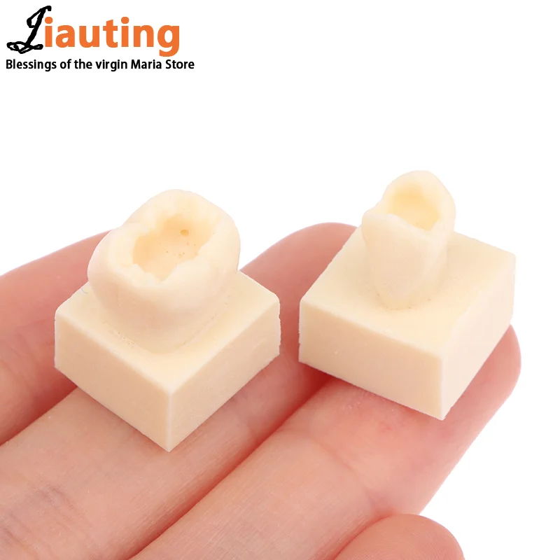 8 шт./компл. стоматологическая задняя студенческая тренировочная тестовая модель