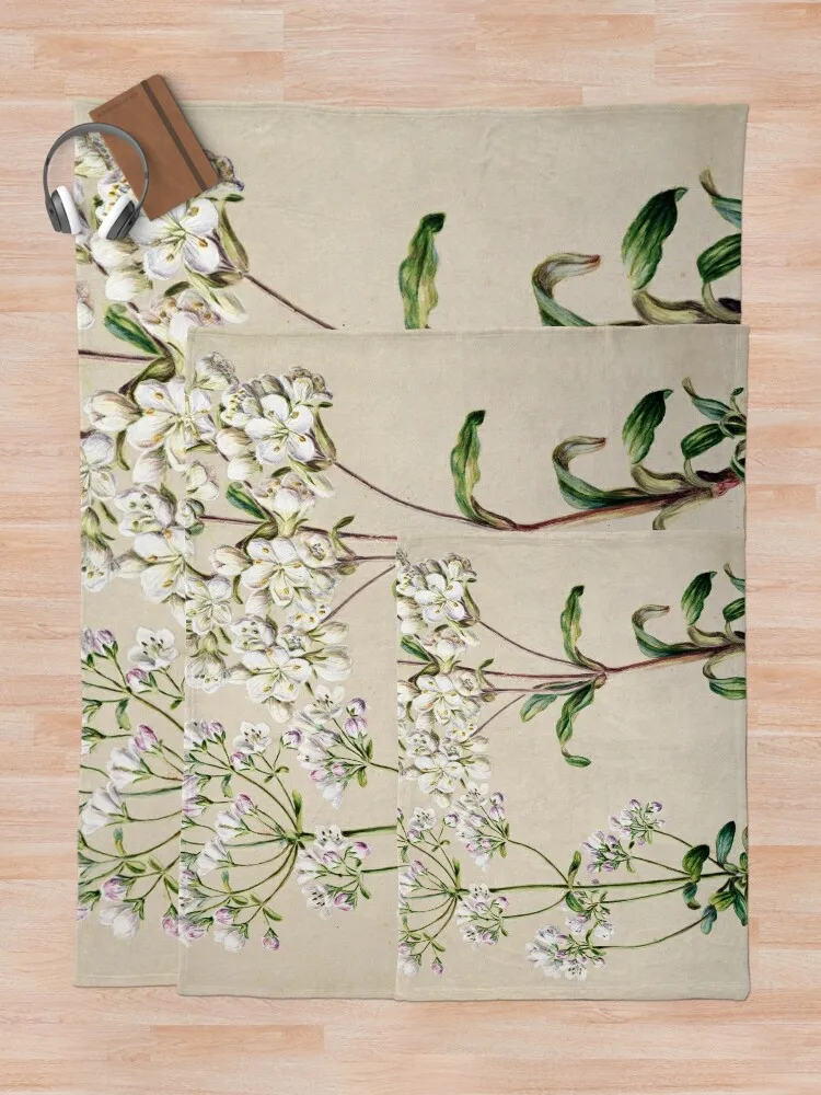 Gentiana Pleurogynoides Пледы Покрывала Furrys Роскошные плед-кровати