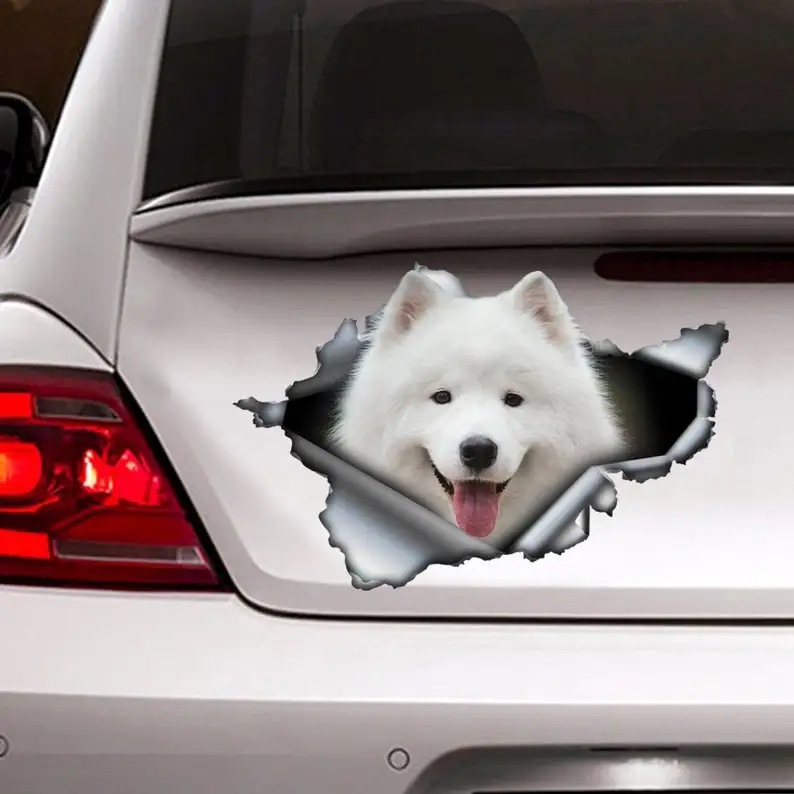 

Samoyed sticker, Samoyed car decal, pet decal, dog sticker, dog decal