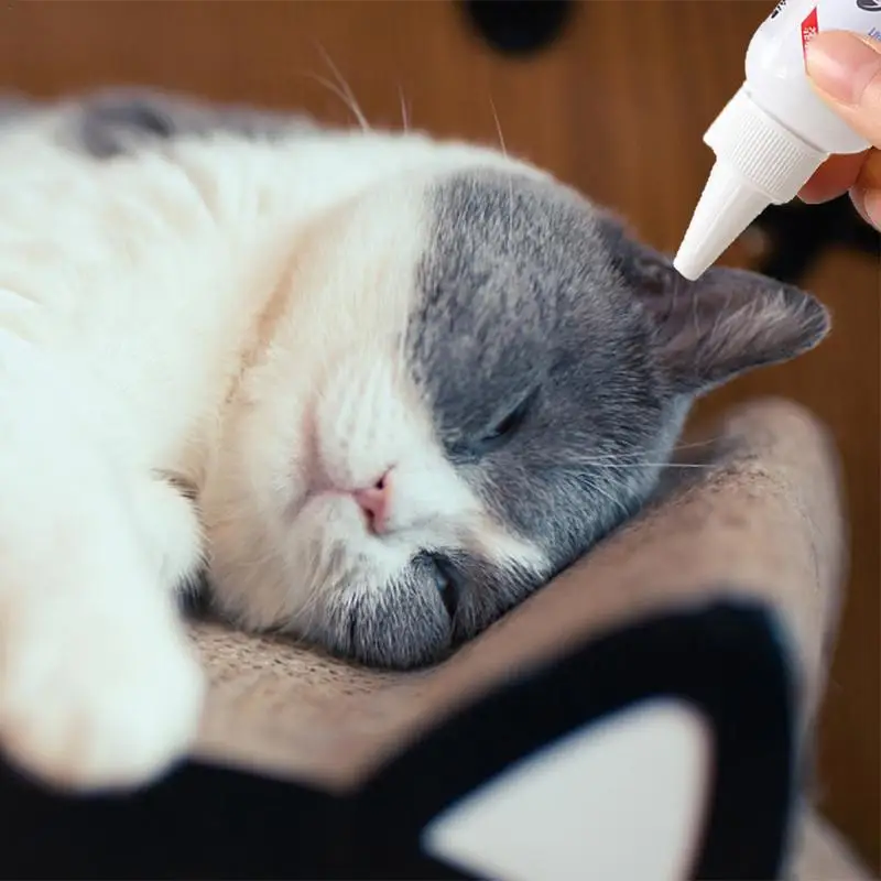

Ear Cleaner Solution For Dog Cat Dog Cat Removes Ear Mites Ear Cleaner Solution Safety Pet Ear Drops