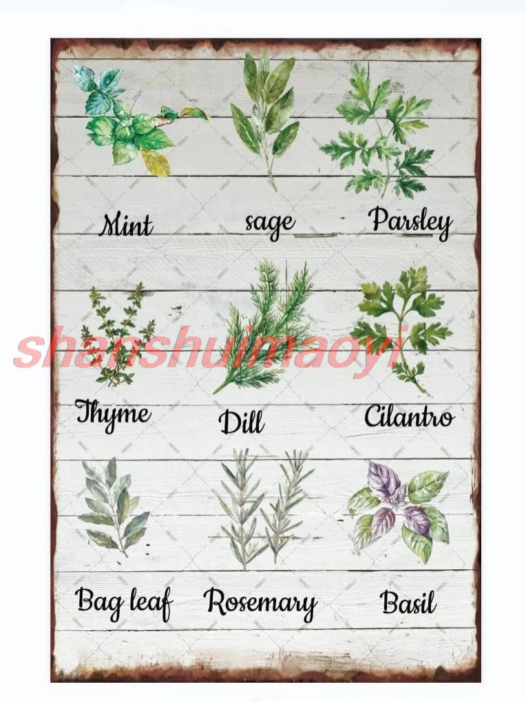 Металлическая вывеска EMOHAT Herbs Sage Green Mint