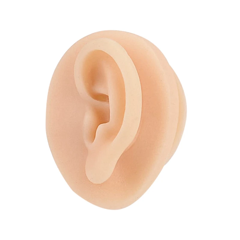 

Soft Silicone Ear Model With Acrylic Stand, Flexible Ear Mold For Piercing Practice, Rubber Ear For Jewelry Display