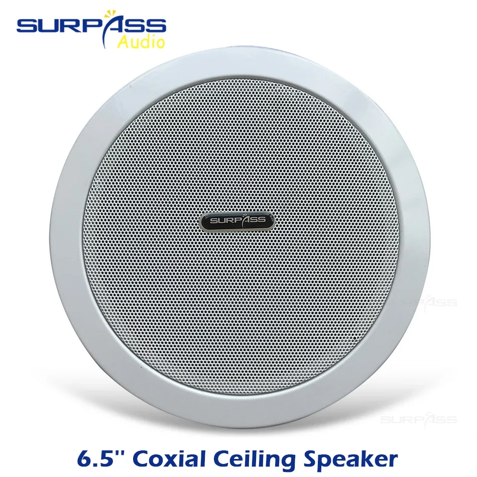 

6.5inch Coxial Ceiling Speaker With Back Cover For Home Background Music System PA System Roof Speaker Subwoofer Horn