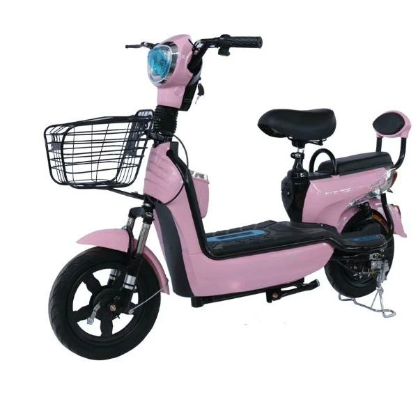 

Factory price 48V bicycle electric bike