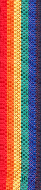 Polypropylene Полипропиленовый ремень для гитары радуга Planet Waves PWS111