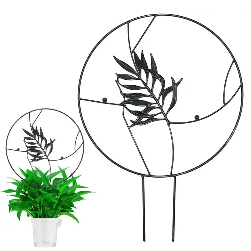 

Metal Trellis Plant Support Small Trellis For Potted Plants Small And Indoor Plant Trellis With Houseplant Trellis Plant