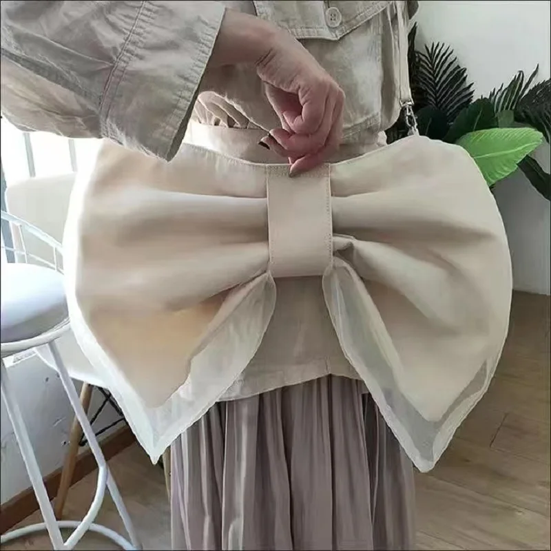 New Bow Knot Removable Small Bag Fashion Perfectly Crowd Canvas Crossbody Women's Bag