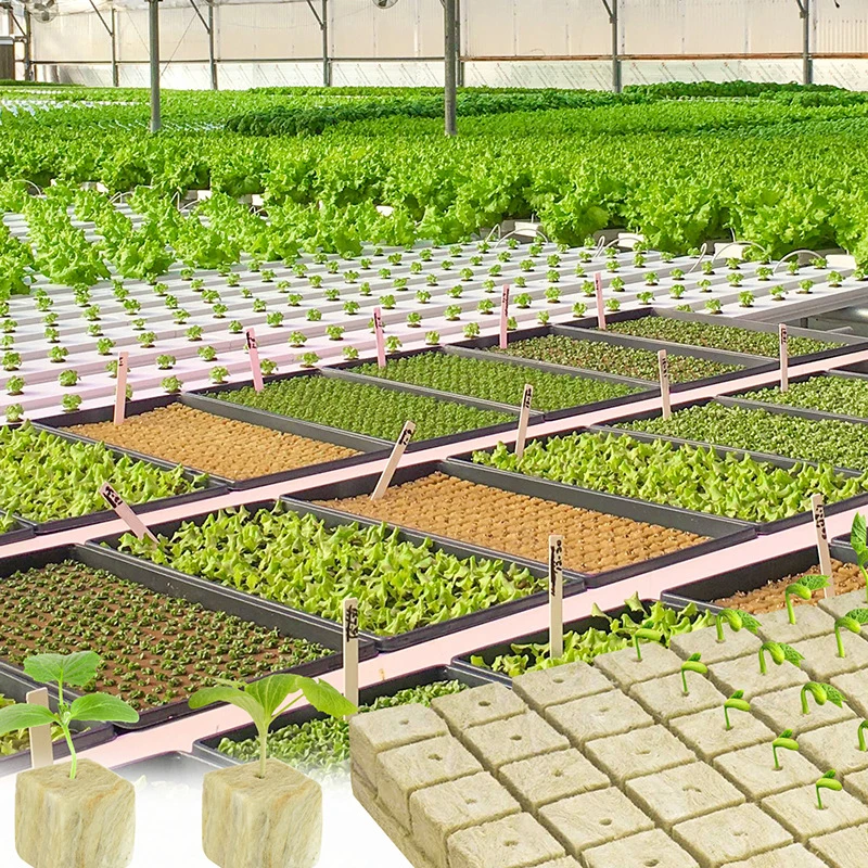 36/50 шт. губки для выращивания растений