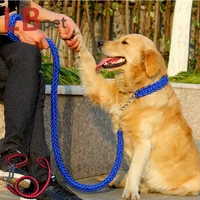 pet suppliesmedium and large dog leashes metal p chainspet leashes collar setsdog accessoriesdog suppliesdog collars