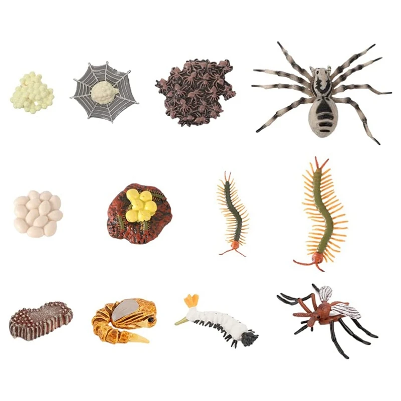 

Фигурки насекомых с жизненным циклом 12 шт., модель для роста животных, биология для детей, научные игрушки, обучающие игрушки