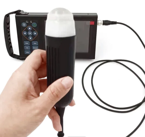 

Veterinary medical equipment Animal B ultrasound machine Pet abdominal diagnosis is used in animal hospitals