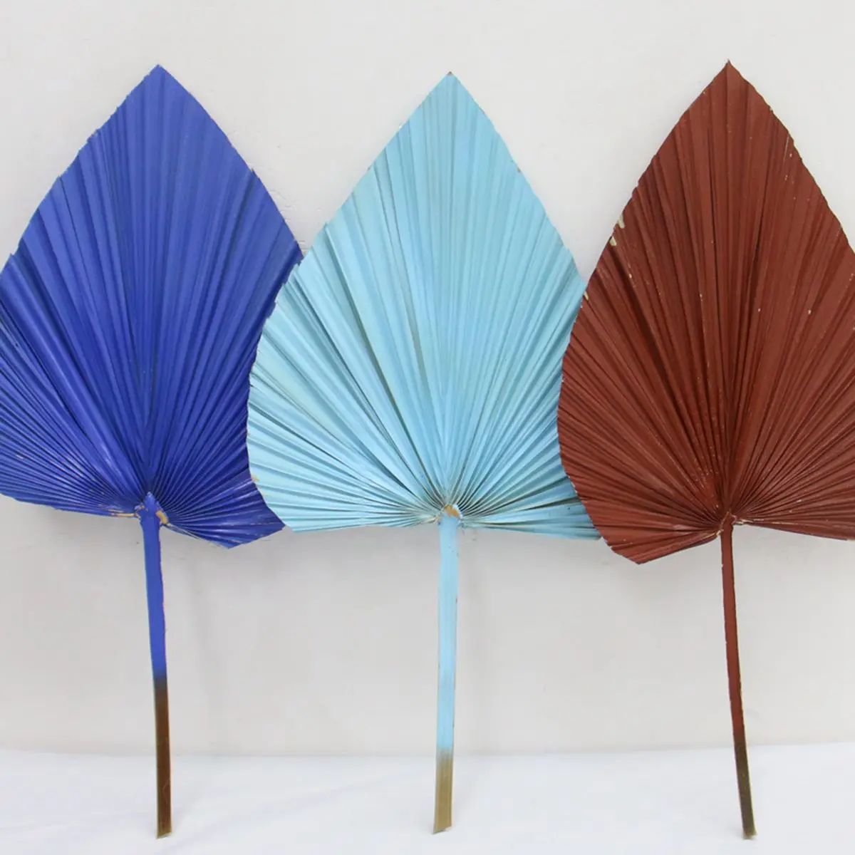 

1PC Natural Air Dried Leaf Plants Leaf Dried Flower Wedding Flower Arrangement Materials Garden Home Christmas Decor
