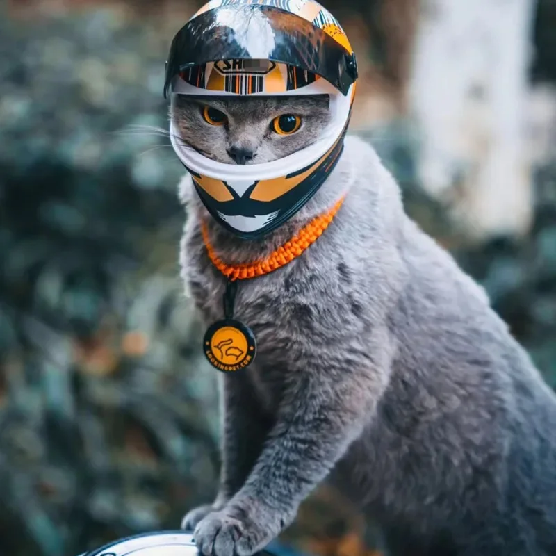 Мотоциклетный шлем для маленьких кошек и собак защитная мини-шляпа домашних